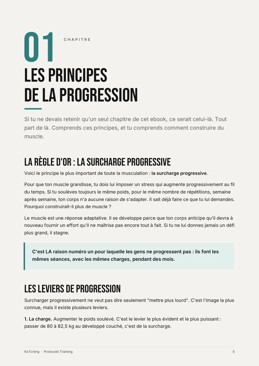 Page du Protocole Training : les principes de la progression